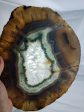 Agate Slice on Custom Wood Stand, Brasil Hot on Sale