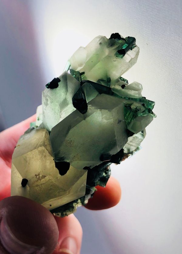 Quartz with Green Tourmaline Fashion