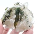 Verdelite Tourmaline in Quartz Online Hot Sale