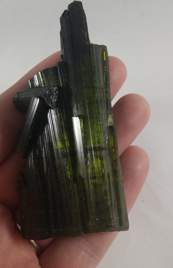 Bi-color Tourmaline Hot on Sale