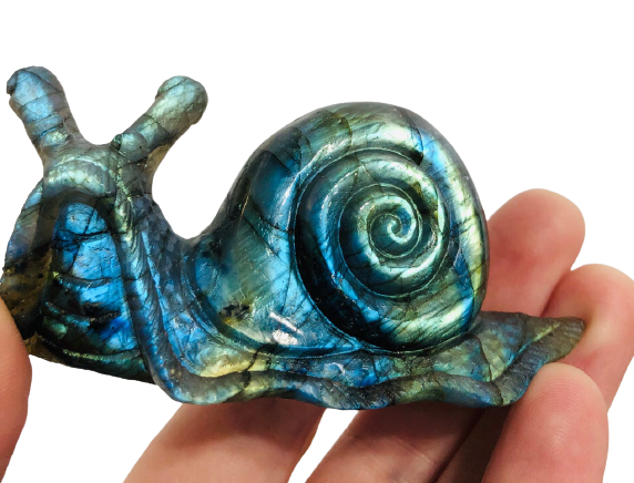 Labradorite Snail Carving Cheap