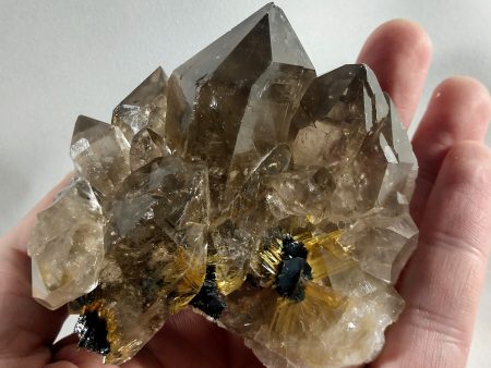 Smoky Quartz Cluster with Rutile and Hematite Cheap