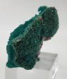 Dioptase, Congo Cheap