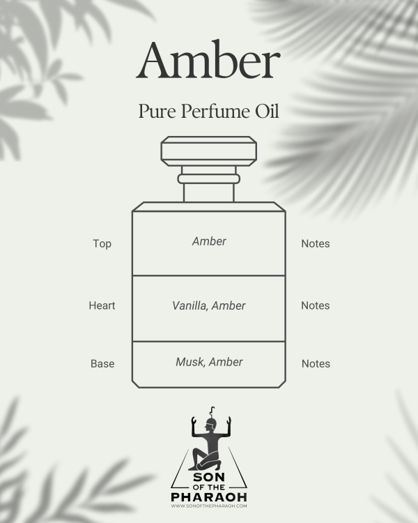 Amber Perfume Oil Hot on Sale