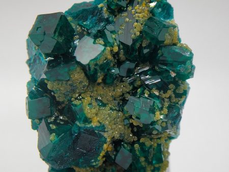 Dioptase, Congo Supply